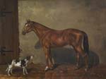 Englischer Tiermaler Mitte 19.Jahrhunde