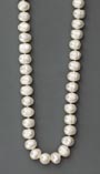 Perlen-Collier.