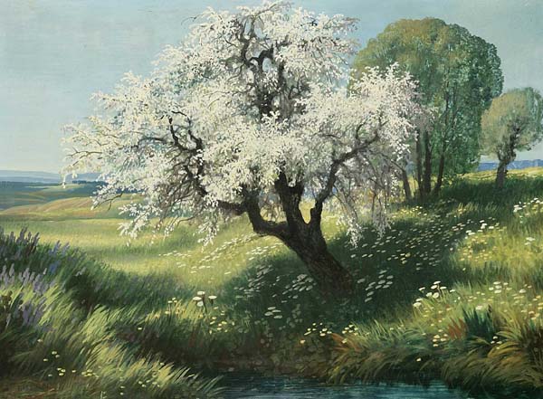 Kern Theodor.
