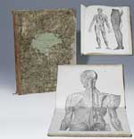 Anatomischer Atlas.